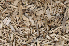 biomass boilers Penifiler