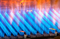 Penifiler gas fired boilers